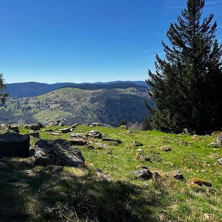 Le Petit Beillard Apartment Gerardmer Luaran gambar